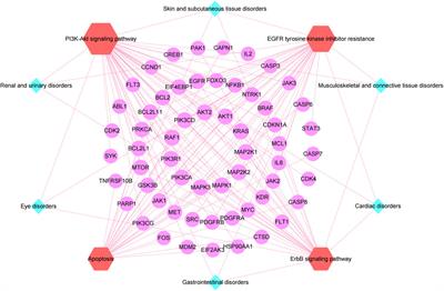 Efficient analysis of adverse drug events and toxicological mechanisms of newly marketed drugs by integrating pharmacovigilance and network toxicology: selumetinib as an example